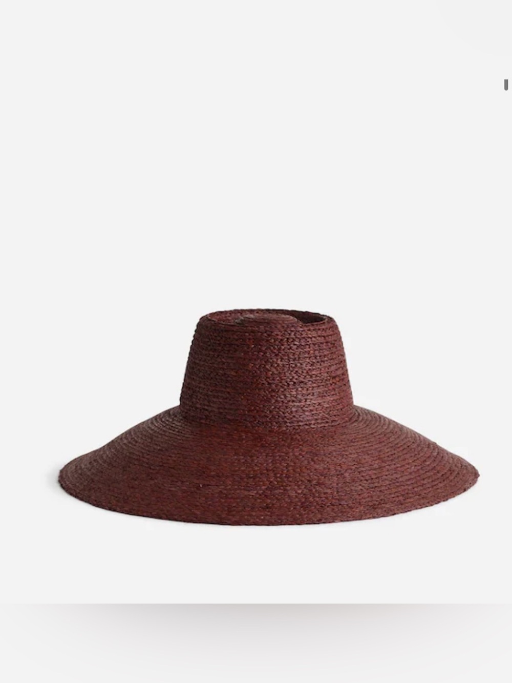 NWT! Madewell Rafia Hat. NEVER WORN!